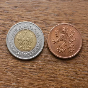 1 Zloty Na Czk