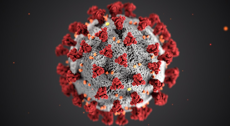 koronavirus