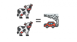 CO2, kravy a auto